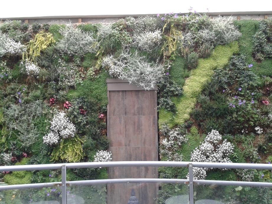 Brise Vue Feuillage 1x3m,Écran de Confidentialité Green Wall Terrace Mur  Vegetal Artificiel Exterieur(Size:1x3m/3.28x9.84ft) : : Jardin